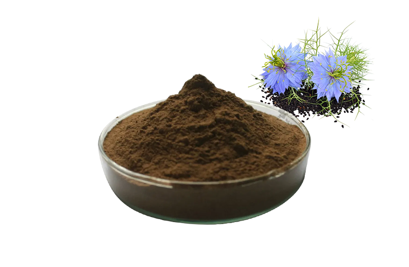 Black Seed Extract Powder